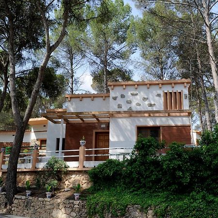 Balneario De Cofrentes Otel Dış mekan fotoğraf